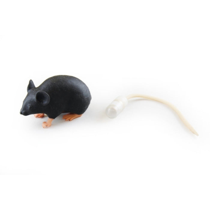 Mimicky Mouse EZ-VET4220 | Sim & Skills