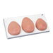 Multi-type Breast Self Examination (BSE) Model 1000344 | Sim & Skills