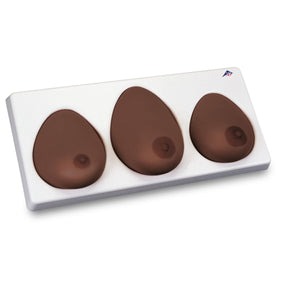 Multi-type Breast Self Examination (BSE) Model