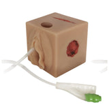 MultiCUBE 2 Multipurpose Clinical Skills Trainer CUBE-001-TC-BU-M | Sim & Skills