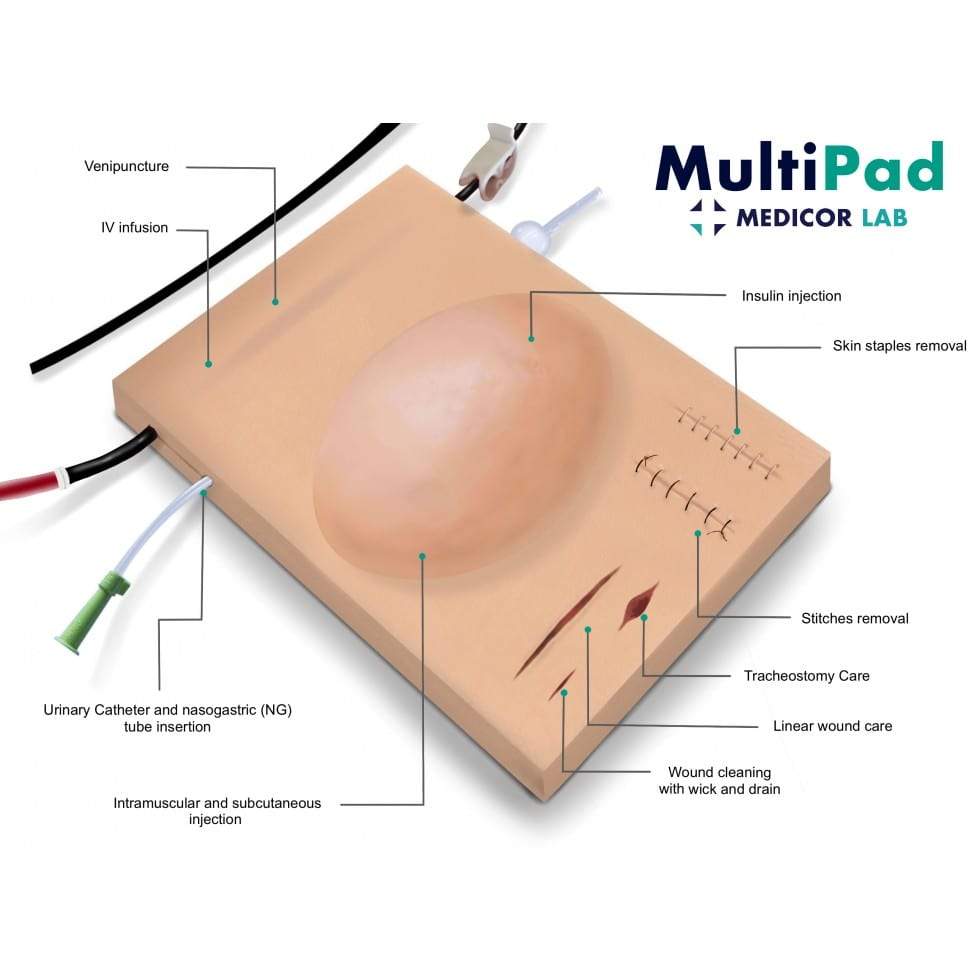 MultiPad 1 | Multipurpose Clinical Skills Trainer FLEX-MULTIPAD1-B| Sim & Skills