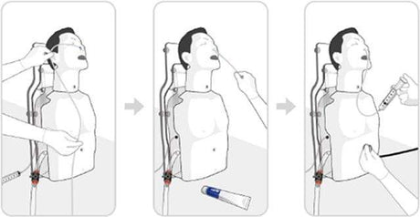 NG Tube Feeding, Tracheostomy Care & Suction Trainer BT-CSIS | Sim & Skills