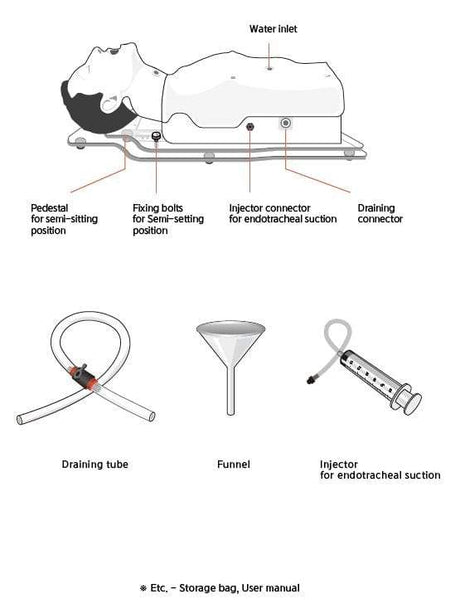 NG Tube Feeding, Tracheostomy Care & Suction Trainer BT-CSIS | Sim & Skills