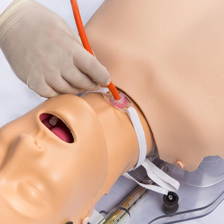 NG Tube Feeding, Tracheostomy Care & Suction Trainer BT-CSIS | Sim & Skills