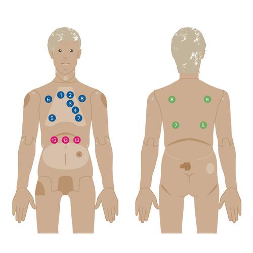 Nikki the Nursing Manikin with Auscultation 1022952 | Sim & Skills