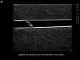 Paediatric Branched 4 Vessel Ultrasound Training Block Model BPP120 | Sim & Skills