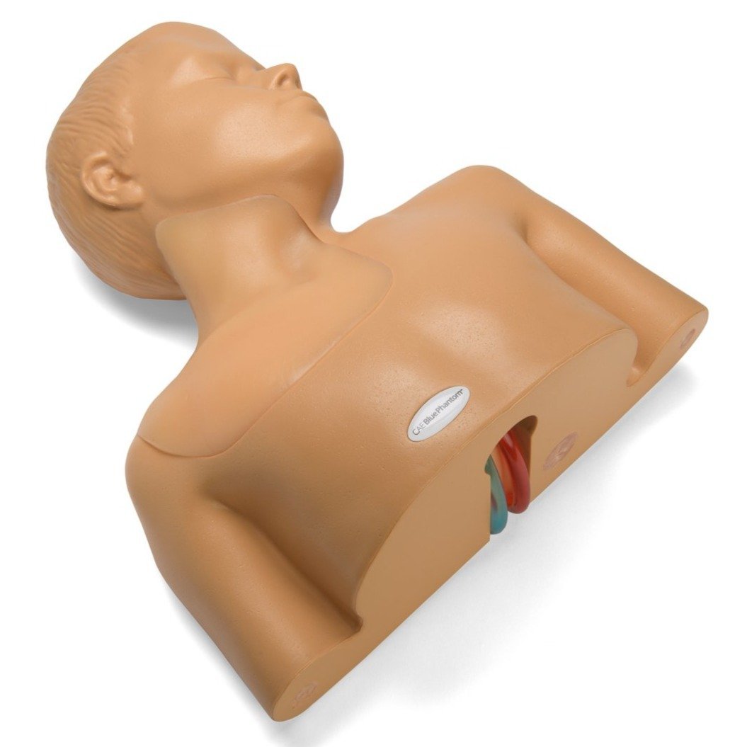 Paediatric Regional Anaesthesia and Central Line Ultrasound Training Model BPP770-HP | Sim & Skills