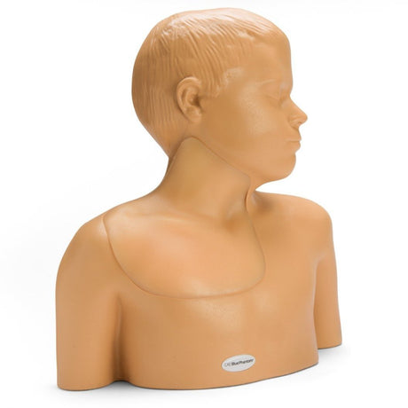 Paediatric Regional Anaesthesia and Central Line Ultrasound Training Model BPP770-HP | Sim & Skills