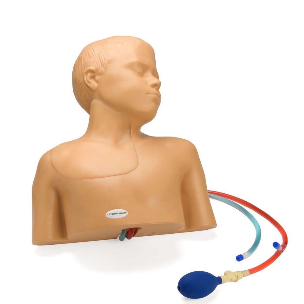 Paediatric Regional Anaesthesia and Central Line Ultrasound Training Model BPP770-HP | Sim & Skills