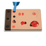 PAT Pressure Injury Staging Model VTA0980 | Sim & Skills