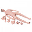 Patient Care Manikin PRO/BASIC 1018816 | Sim & Skills