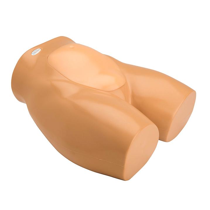 Percutaneous Umbilical Cord Blood Sampling Ultrasound Training Model BP1620 | Sim & Skills