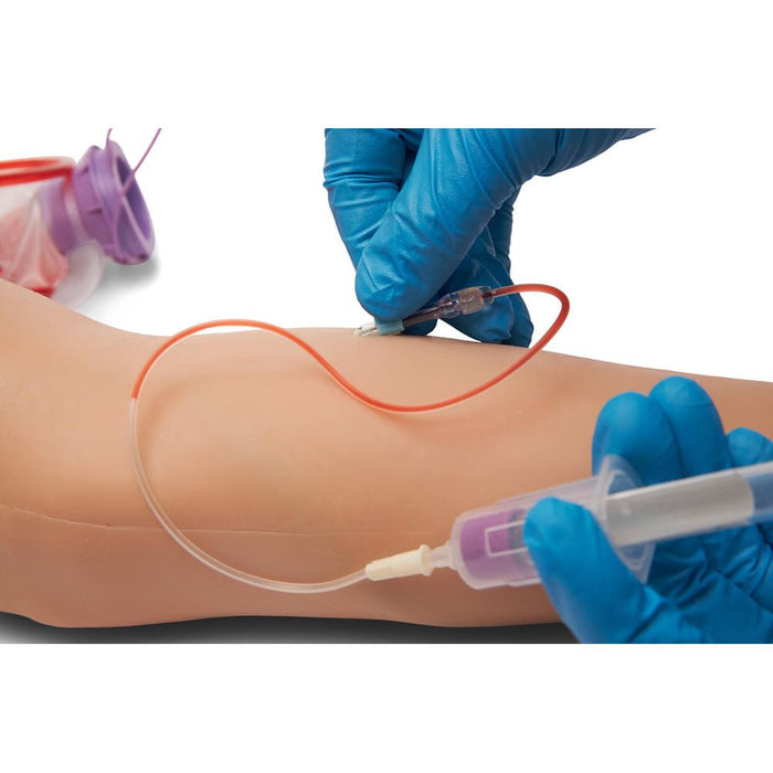 Peripheral Intravenous (IV) Catheterisation Arm IV-BT-001-TC-B | Sim & Skills