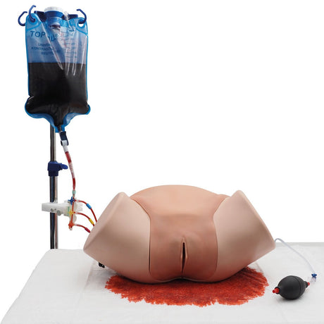 Postpartum Haemorrhage Simulator – PPH Trainer P97 PRO 1023727 | Sim & Skills