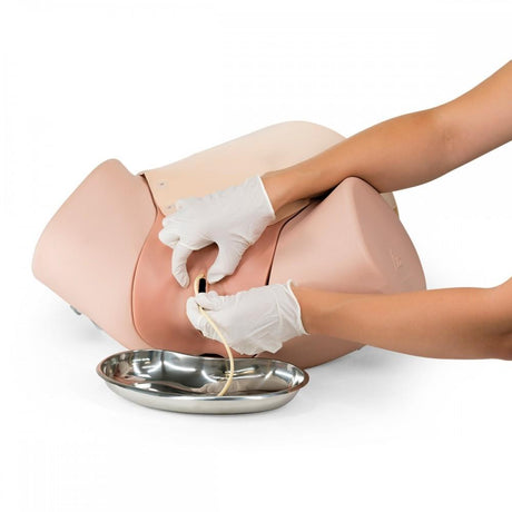 Postpartum Haemorrhage Trainer - PPH Trainer P97 1021568 | Sim & Skills