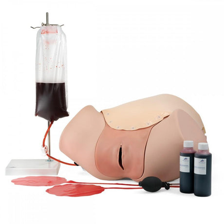 Postpartum Haemorrhage Trainer - PPH Trainer P97 1021568 | Sim & Skills