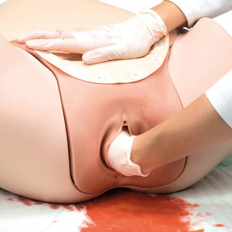 Postpartum Haemorrhage Trainer - PPH Trainer P97 1021568 | Sim & Skills