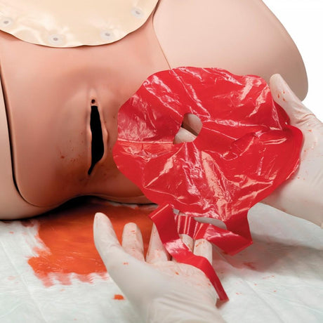 Postpartum Haemorrhage Trainer - PPH Trainer P97 1021568 | Sim & Skills