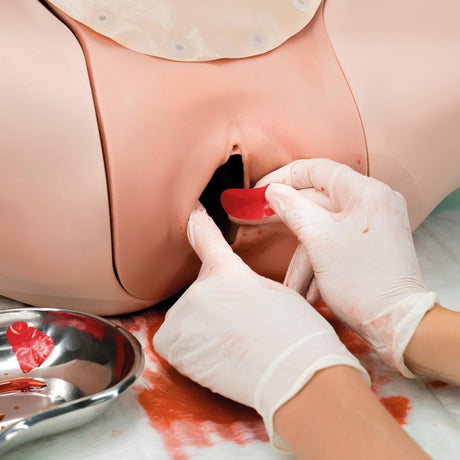 Postpartum Haemorrhage Trainer - PPH Trainer P97 1021568 | Sim & Skills