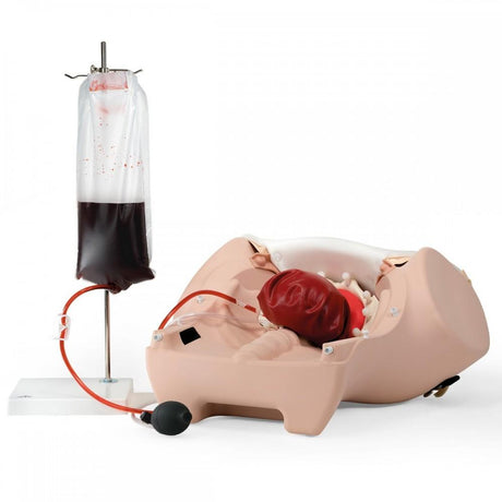 Postpartum Haemorrhage Trainer - PPH Trainer P97 1021568 | Sim & Skills