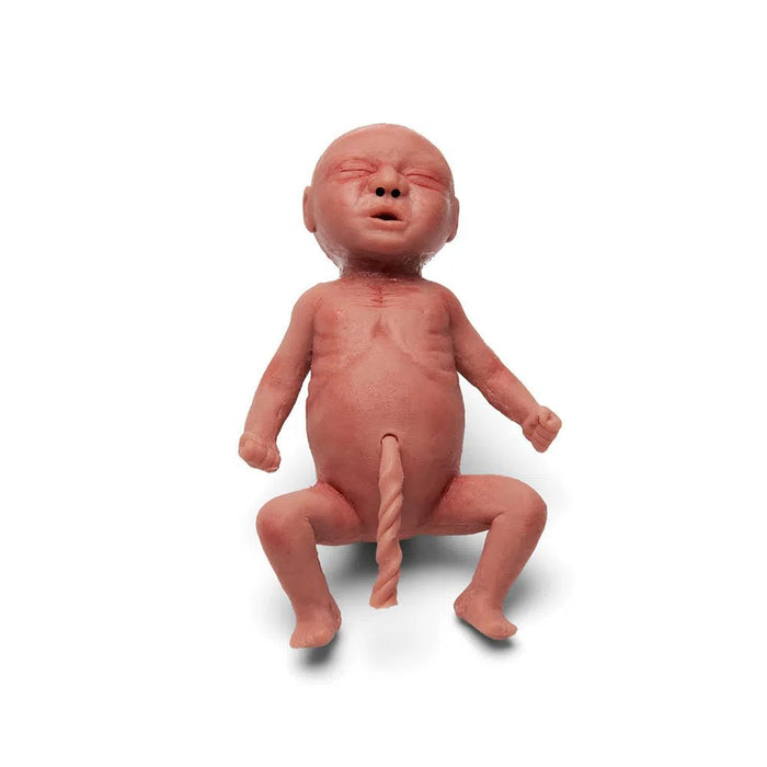 Premature Newborn Simulator | 25-week Baby Manikin NN-P-001-B | Sim & Skills