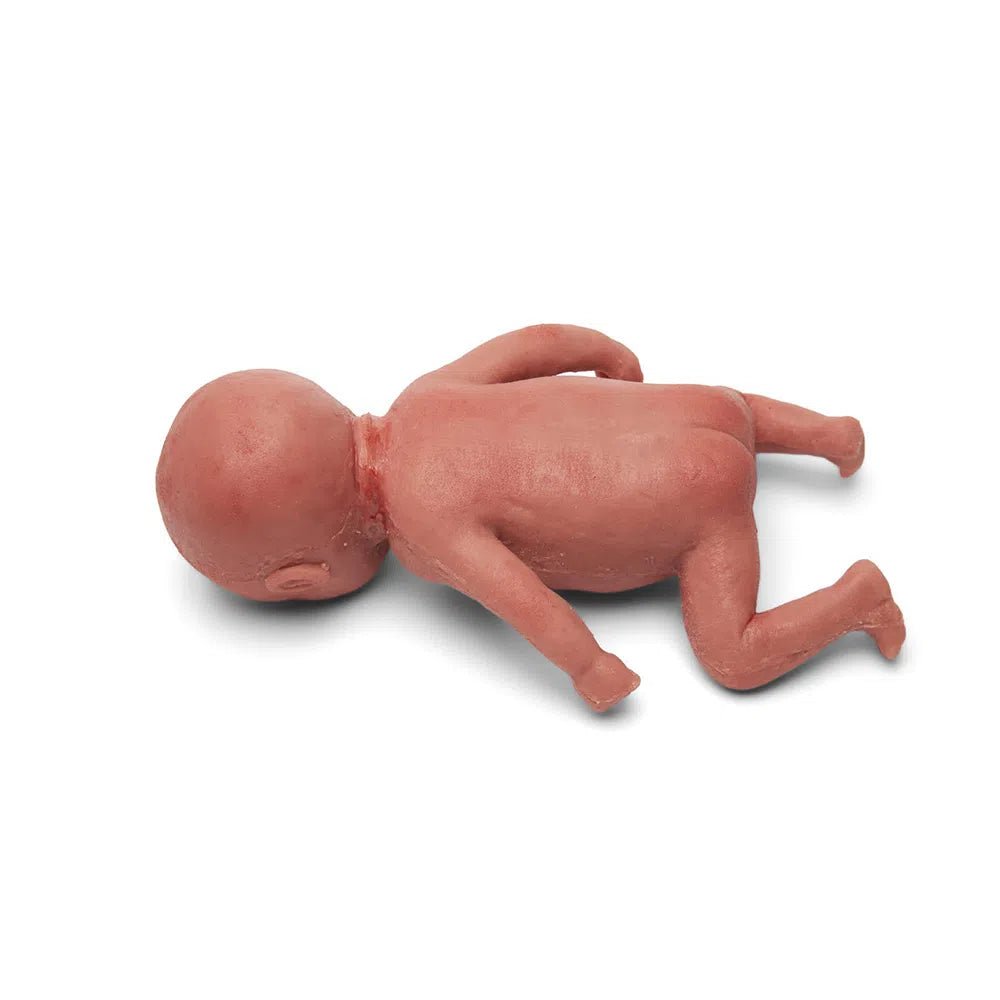 Premature Newborn Simulator | 25-week Baby Manikin NN-P-001-B | Sim & Skills