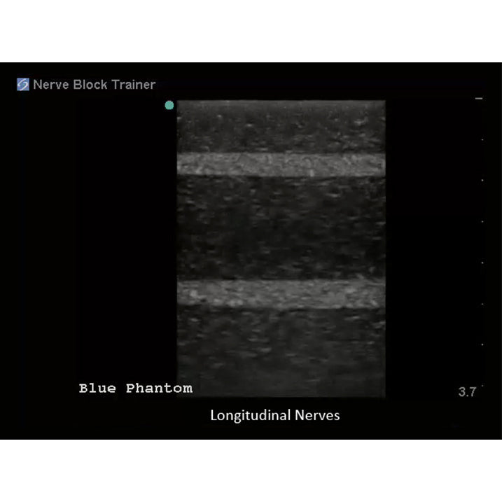 Regional Anaesthesia Ultrasound Training Block Model BPNB150 | Sim & Skills