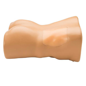 Renal Biopsy Ultrasound Training Model