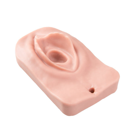 Replacement Insert for Episiotomy Trainer | Sim & Skills