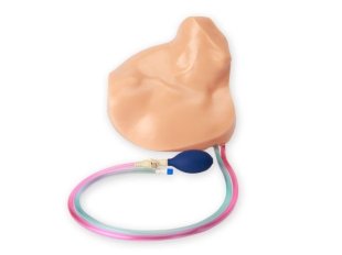 Replacement Insert for Gen II Regional Anaesthesia and Central Line Ultrasound Training Model BPHNB673 | Sim & Skills