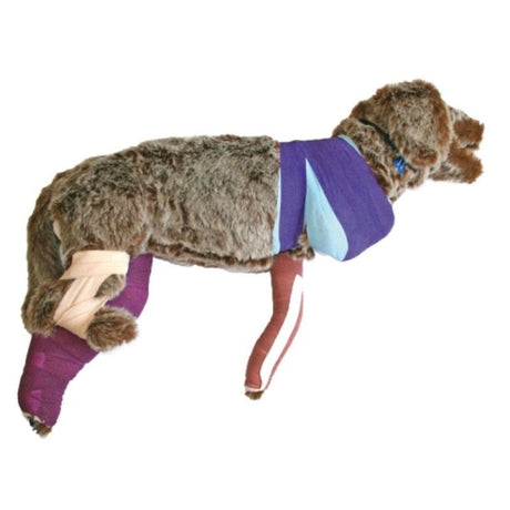 Rufus Bandaging Manikin EZ-VET4050 | Sim & Skills