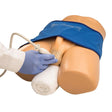 Scrotal Ultrasound Training Model BPS-801 | Sim & Skills