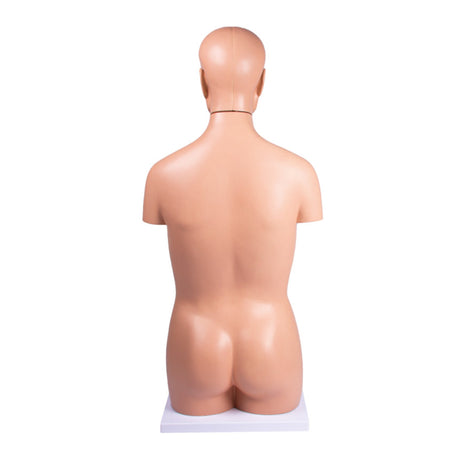 Sexless Human Torso Model, 12 part EZ-B109 | Sim & Skills