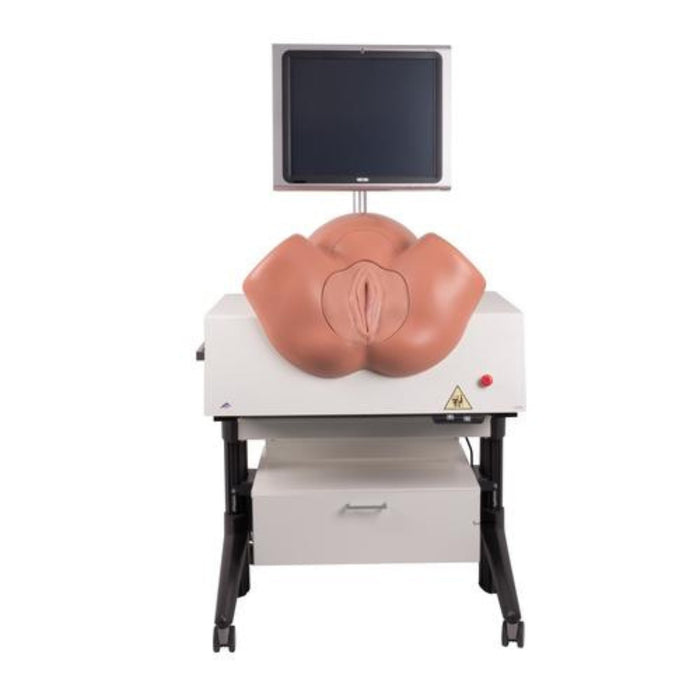 SIMone™ Birthing Simulator 1019599 | Sim & Skills