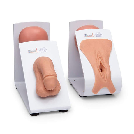 Simulaids® Catheterisation Trainers - Male & Female 160-1933 | Sim & Skills