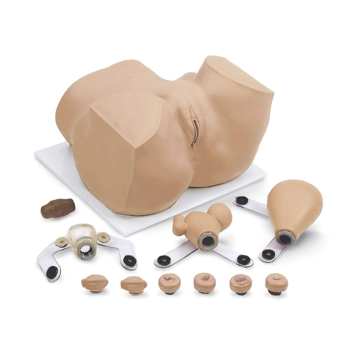 Simulaids® EVA Gynaecologic Manikin 160-1900 | Sim & Skills