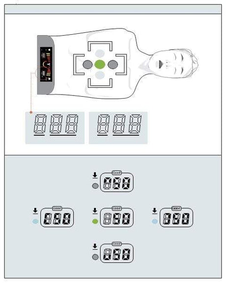 Smart CPR Training Model Sherpa X BT-SEEM2 | Sim & Skills