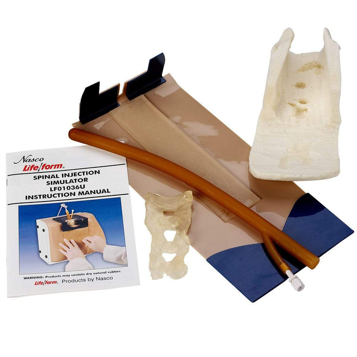 Spinal Kit - Skin, Musculatures and Spinal Cord LF01039 | Sim & Skills