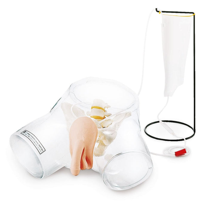 Transparent Male Catheter Model 1017241 | Sim & Skills