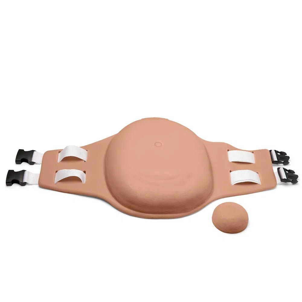 Uterine Fundus Abdomen O-FU-001-A-S-M | Sim & Skills